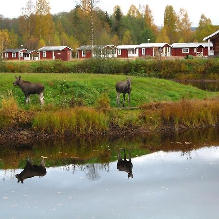 Klaraelvens Camping Stöllet 部屋 写真