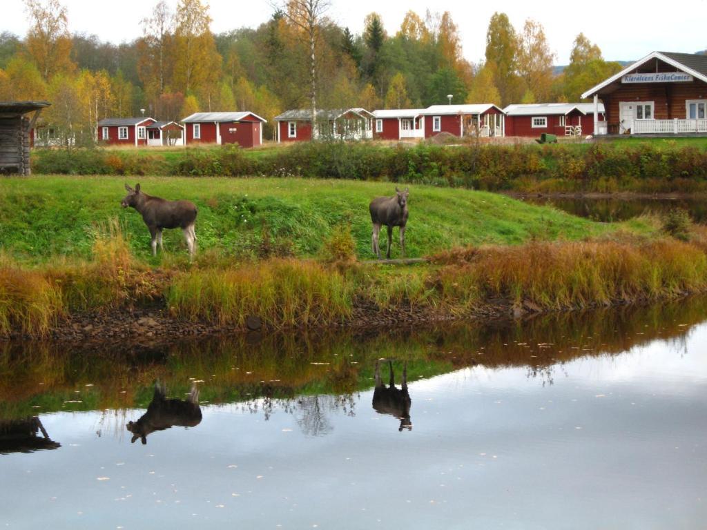 Klaraelvens Camping Stöllet 部屋 写真